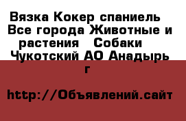 Вязка Кокер спаниель - Все города Животные и растения » Собаки   . Чукотский АО,Анадырь г.